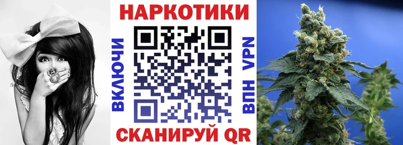 МЕФ Сурск