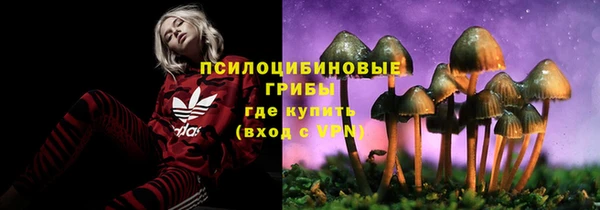 MESCALINE Алзамай
