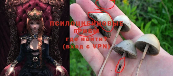 тгк Алексин